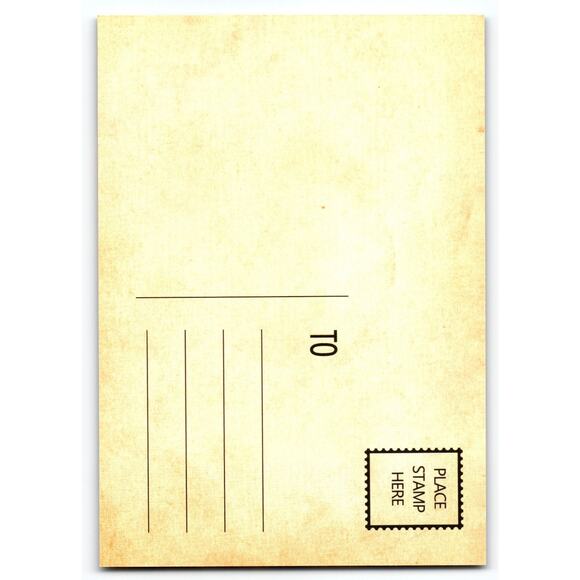 Vintage Halloween Postcard Skeleton Graveyard Bats Full Moon 5.5x4" - Picture 2 of 2